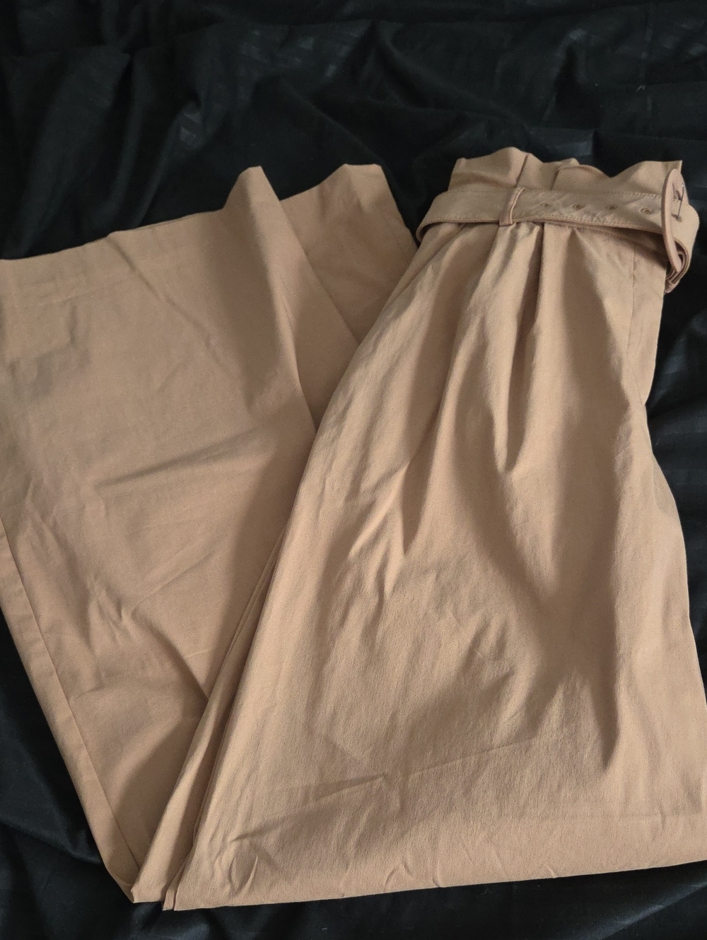 Express High-Waist Wide Leg Pants in Beige